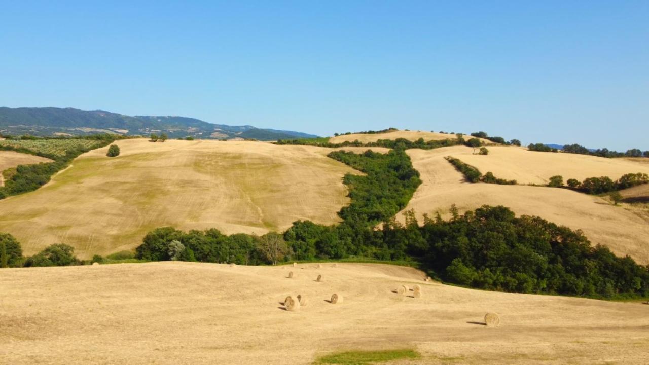 Glamping Le Dune Cinigiano Exterior foto
