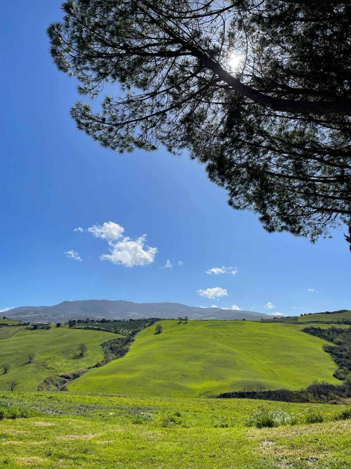 Glamping Le Dune Cinigiano Exterior foto