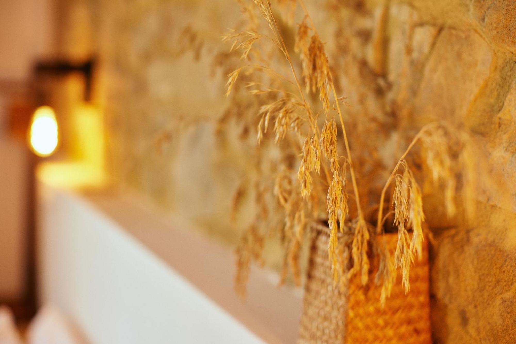 Glamping Le Dune Cinigiano Exterior foto